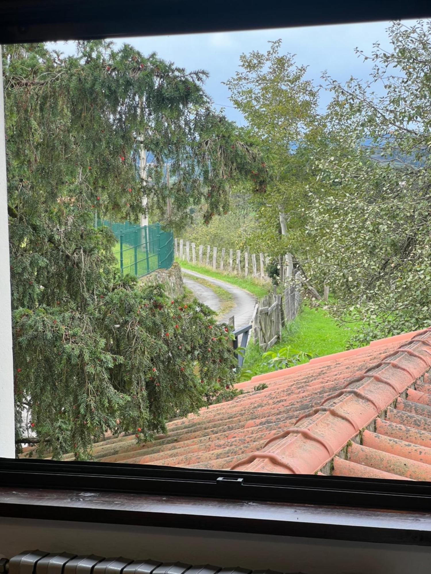 Casa Boni Y Florina * Nava