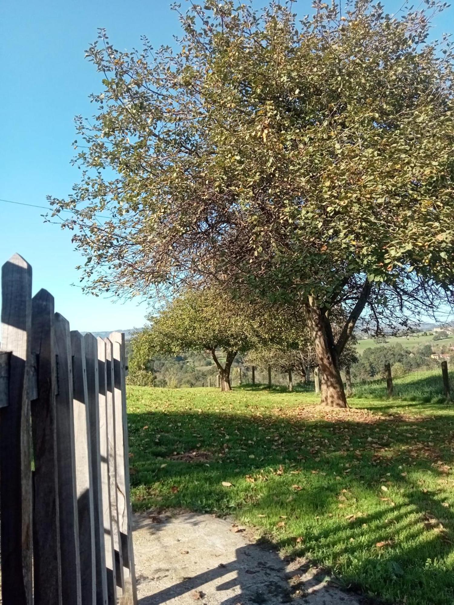 Casa Boni Y Florina Hébergement de vacances
